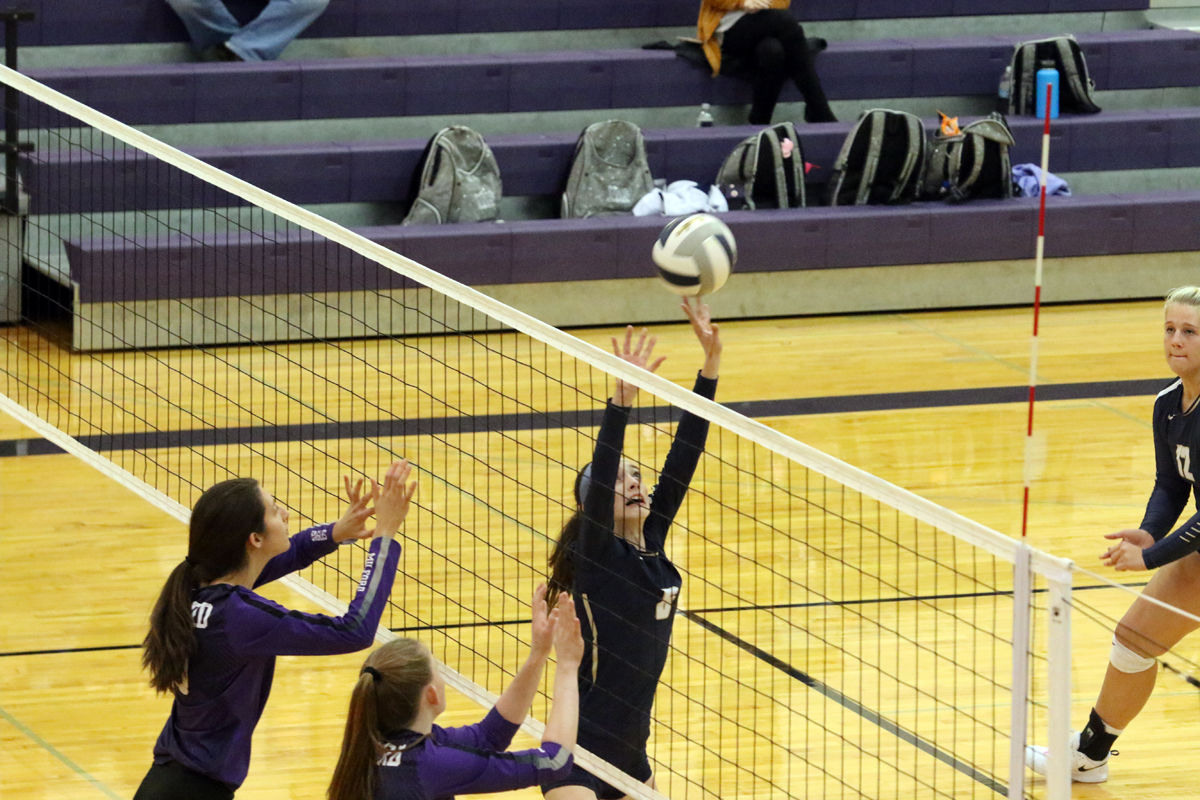 York VB vs Milford (13).jpg